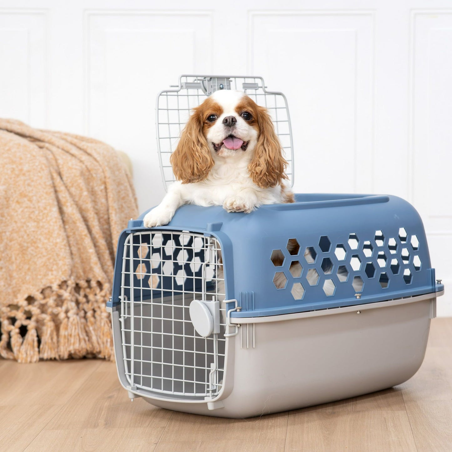 24” Multicolor Plastic Pet Kennel with Double Door & Top Opening for Dogs and Cats