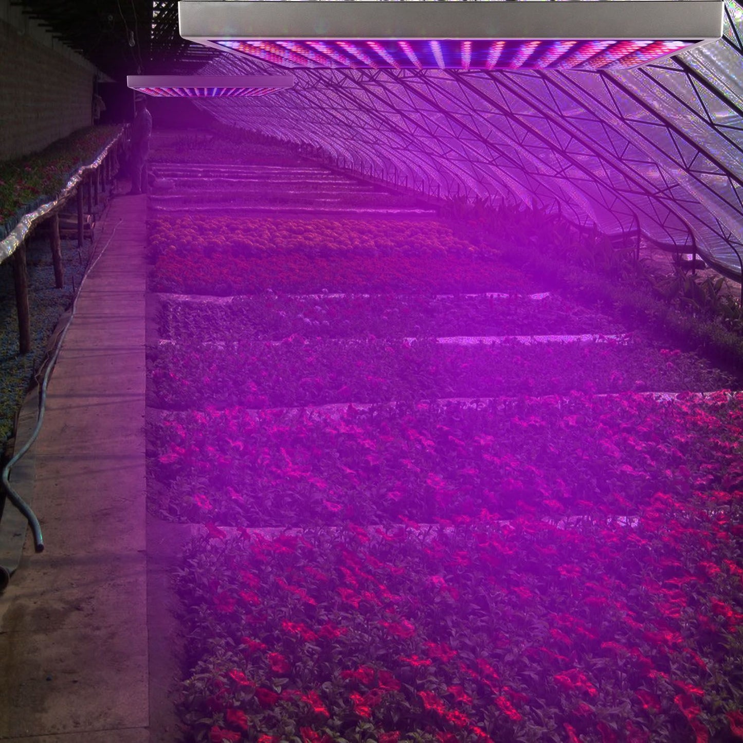 LED Grow Light Full Spectrum 225 LEDs 15W Hanging Plant Lamp for Indoor Greenhouse Veg & Flower