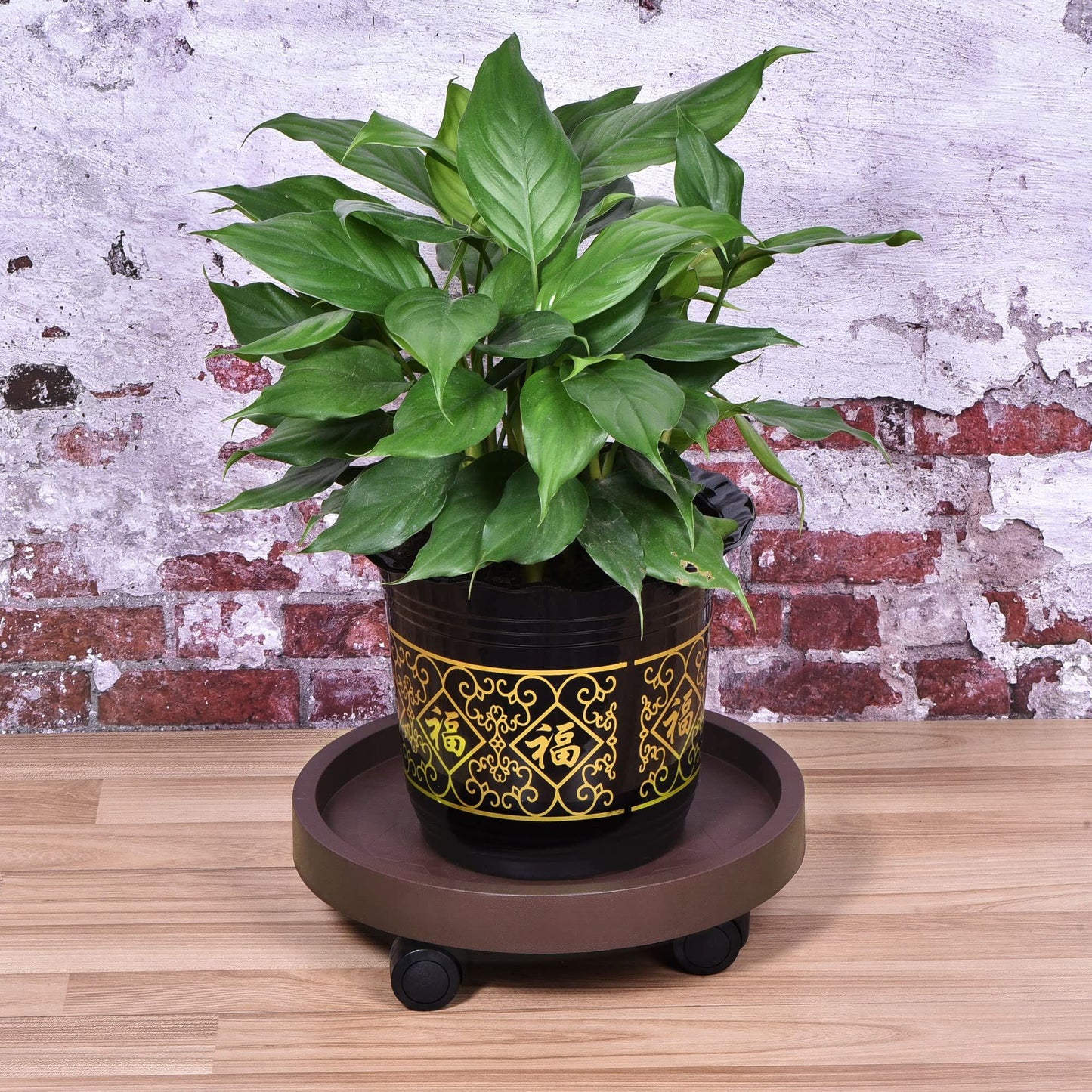 8-Pack Rolling Plant Caddy with Wheels – Heavy Duty 12.2" Plant Stand, Brown