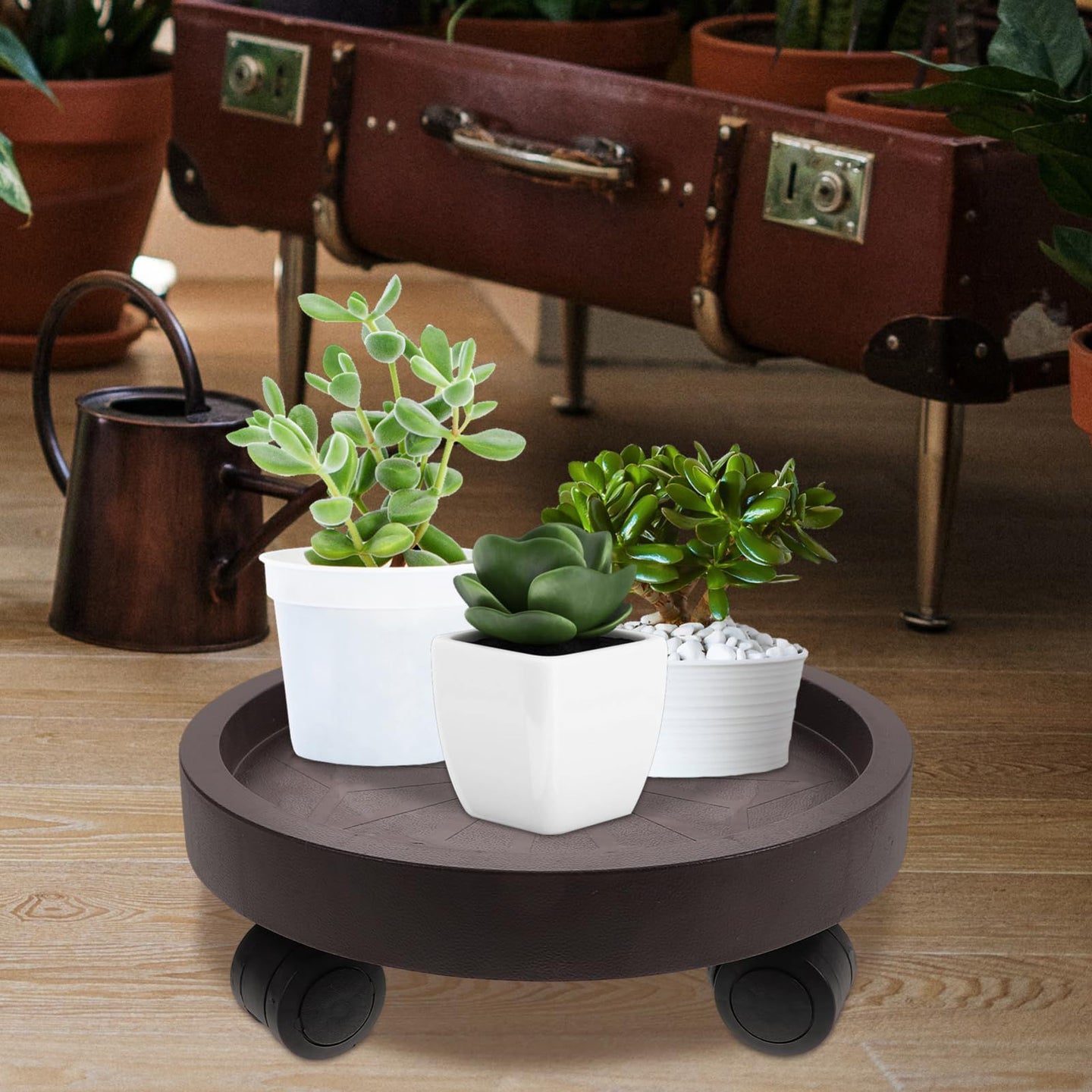 8-Pack Rolling Plant Caddy with Wheels – Heavy Duty 12.2" Plant Stand, Brown