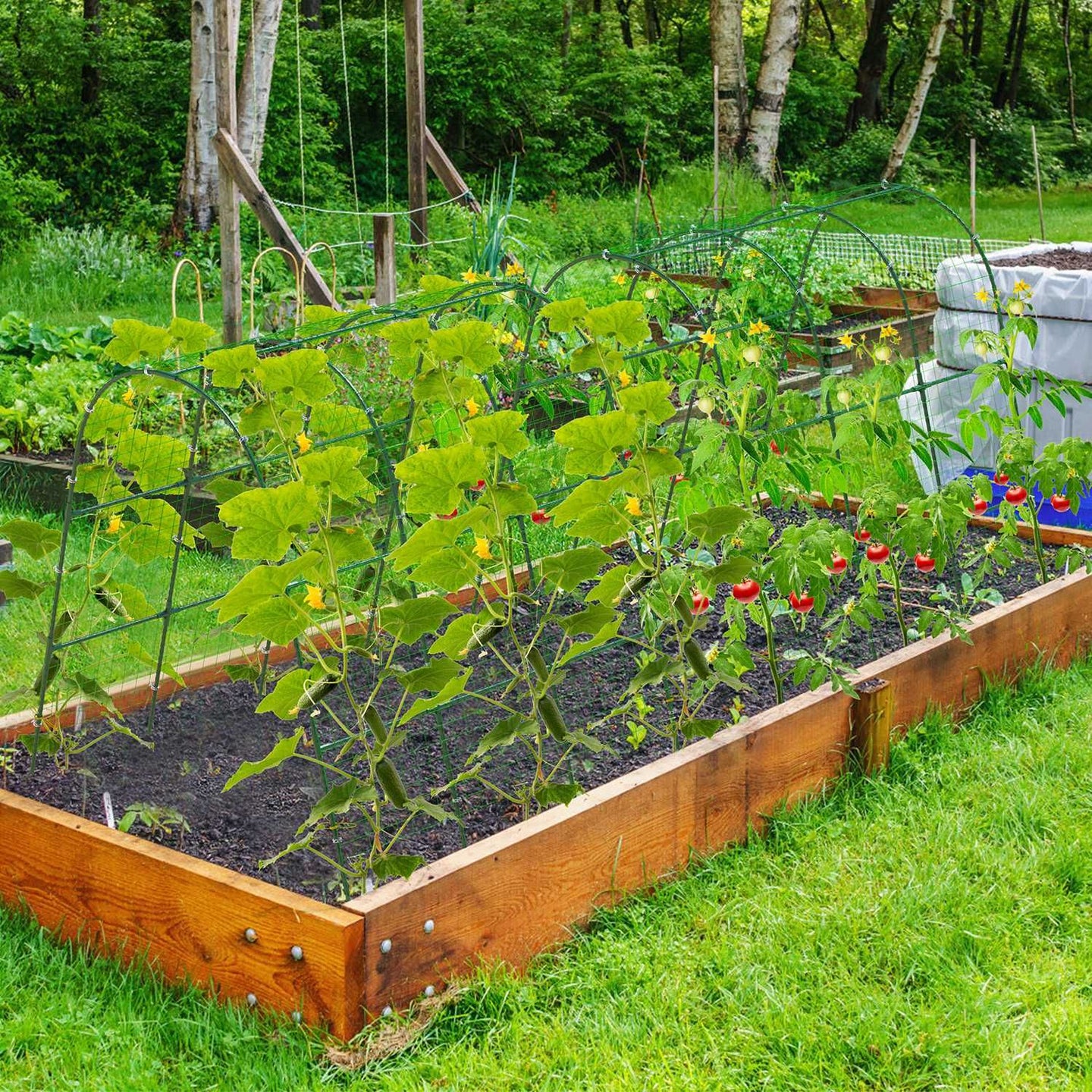 Large U-Shaped Garden Arch Trellis for Climbing Plants - Adjustable 15-45" Width, Metal Cucumber Trellis with Netting