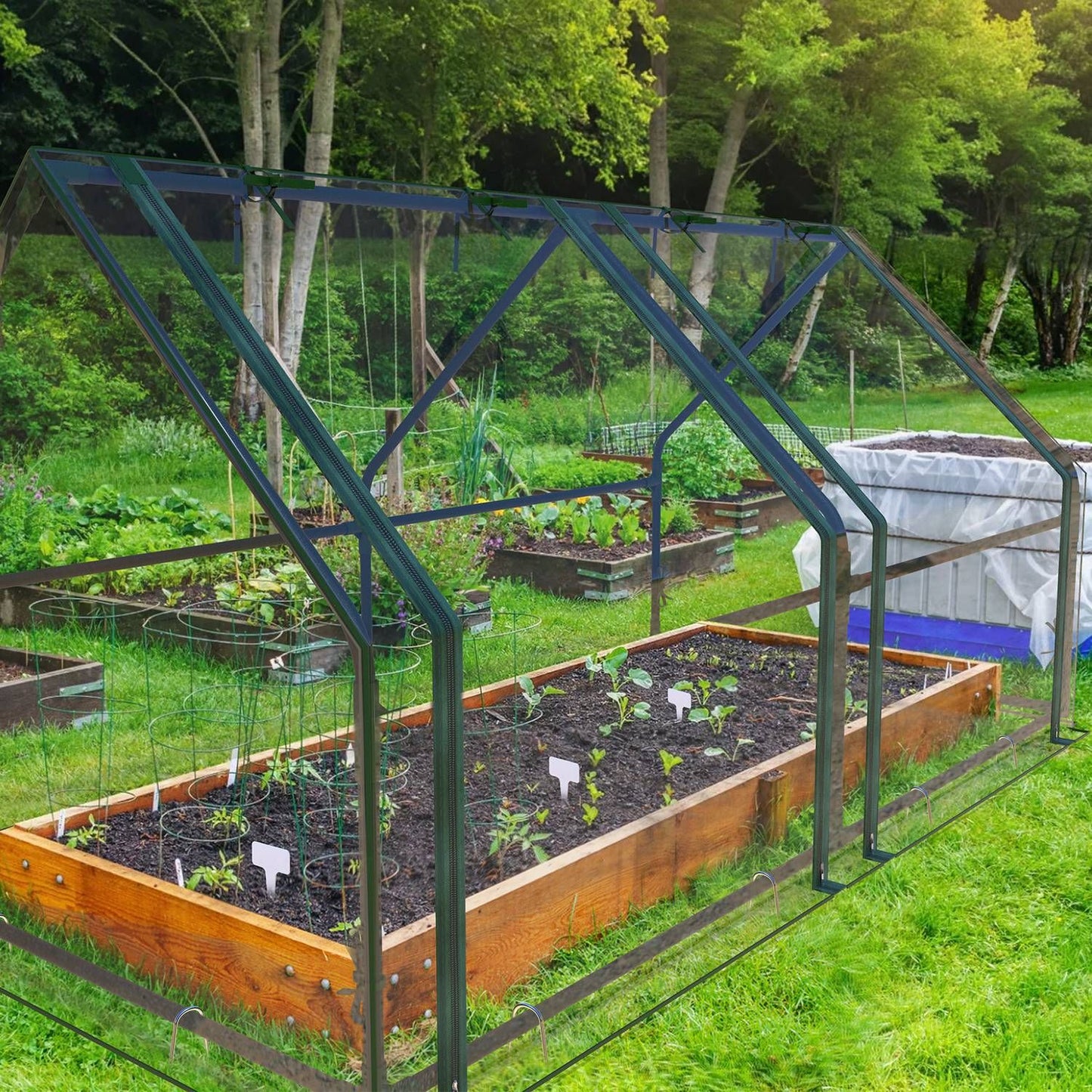 Portable Walk-in Greenhouse 71"x33"x37" – Outdoor Garden Plant House w/ PVC Cover & Iron Frame, Roll-Up Zipper Door, UV & Rust-Resistant