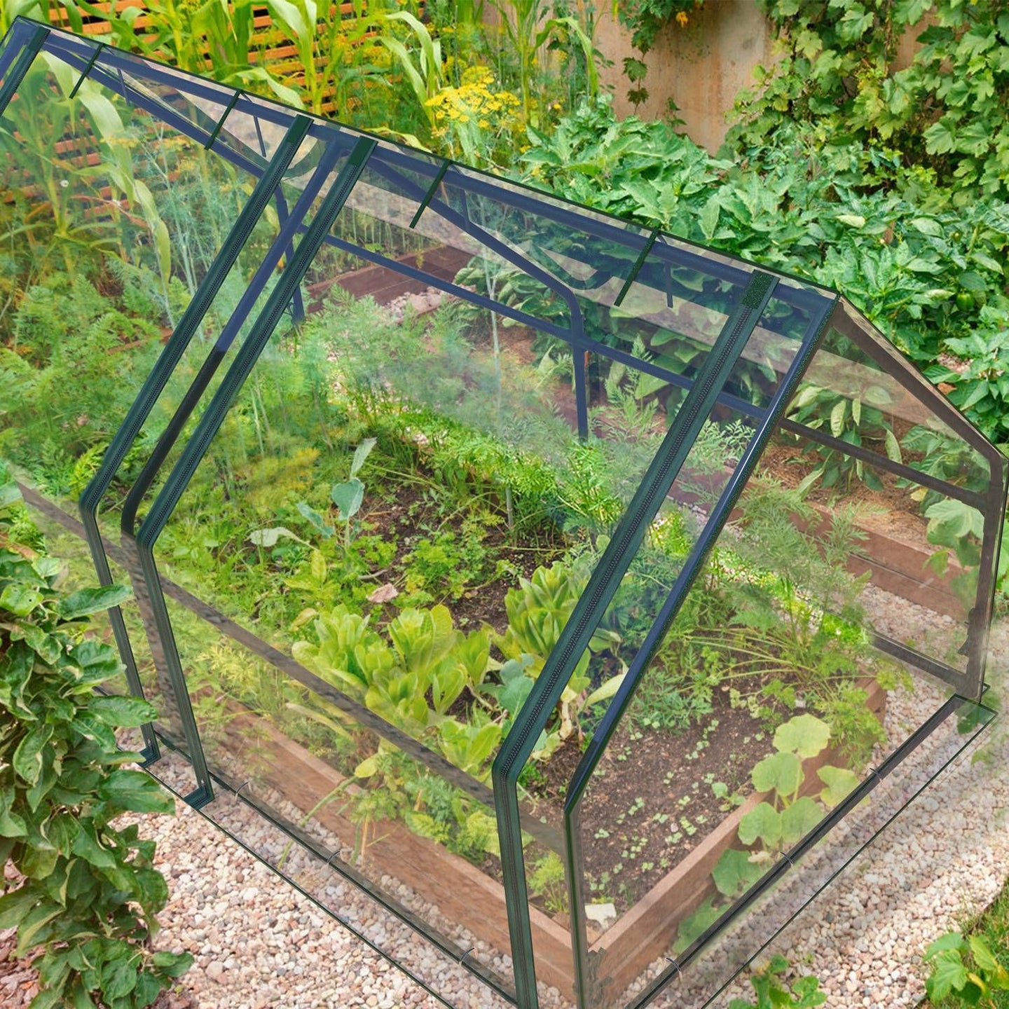 Portable Walk-in Greenhouse 71"x33"x37" – Outdoor Garden Plant House w/ PVC Cover & Iron Frame, Roll-Up Zipper Door, UV & Rust-Resistant
