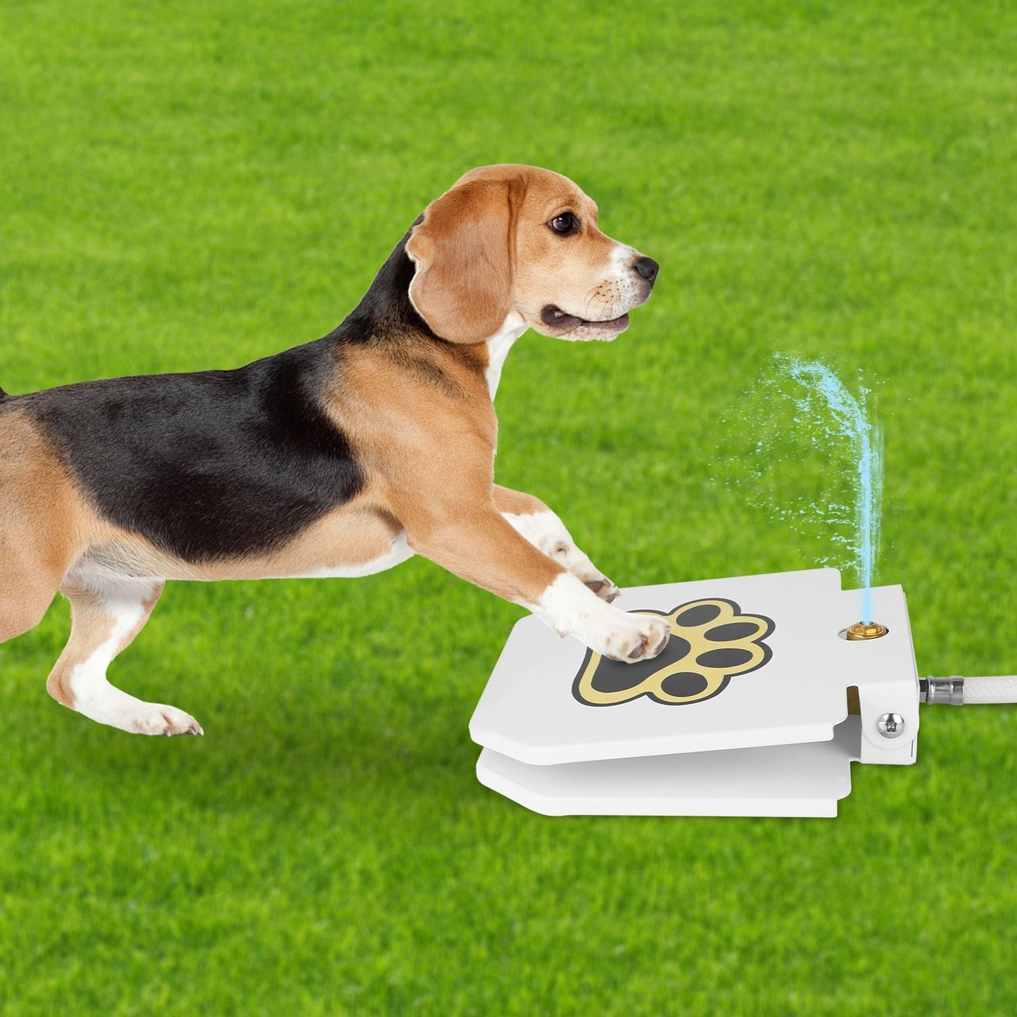 Step-On Outdoor Dog Water Fountain & Interactive Sprinkler