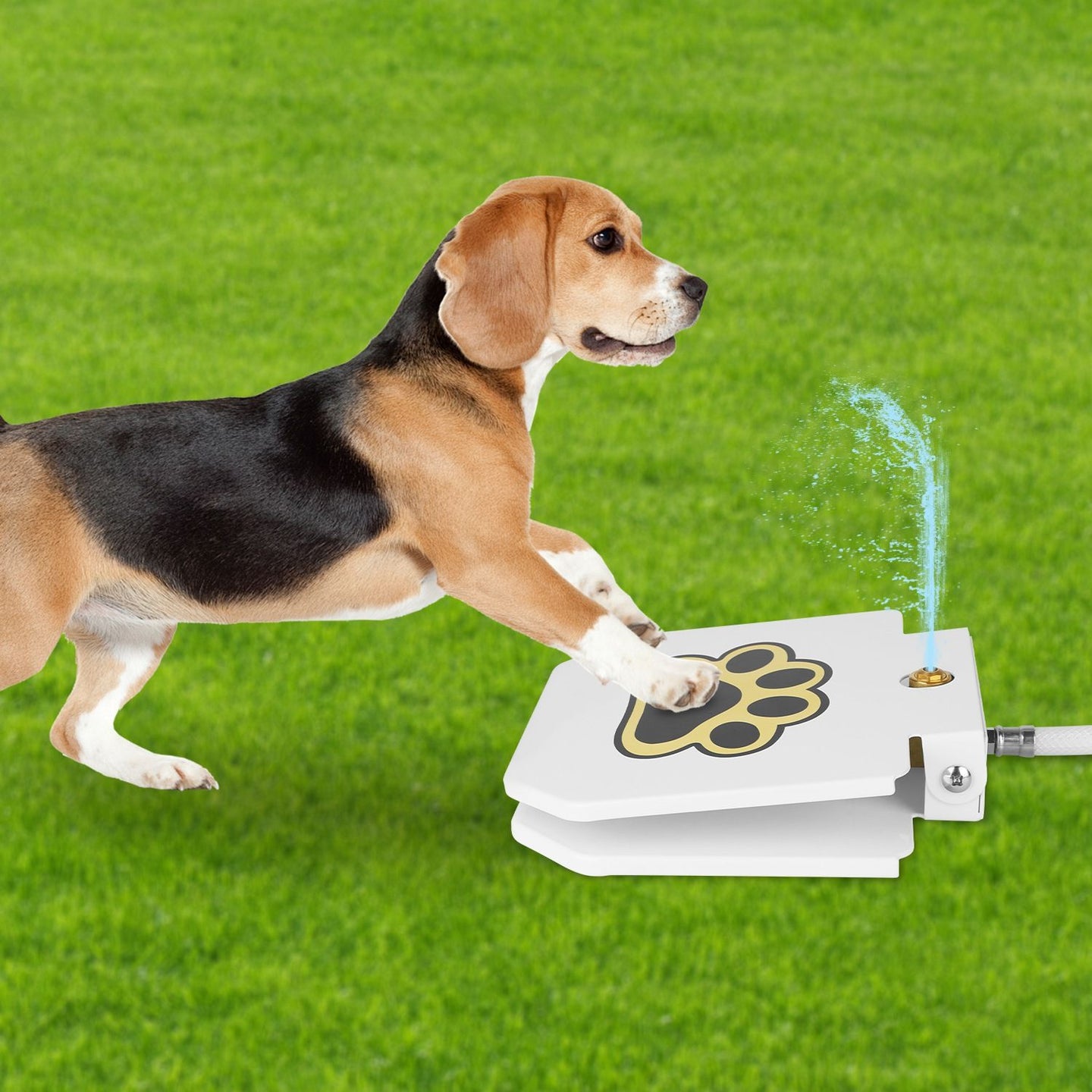 Step-On Outdoor Dog Water Fountain & Interactive Sprinkler