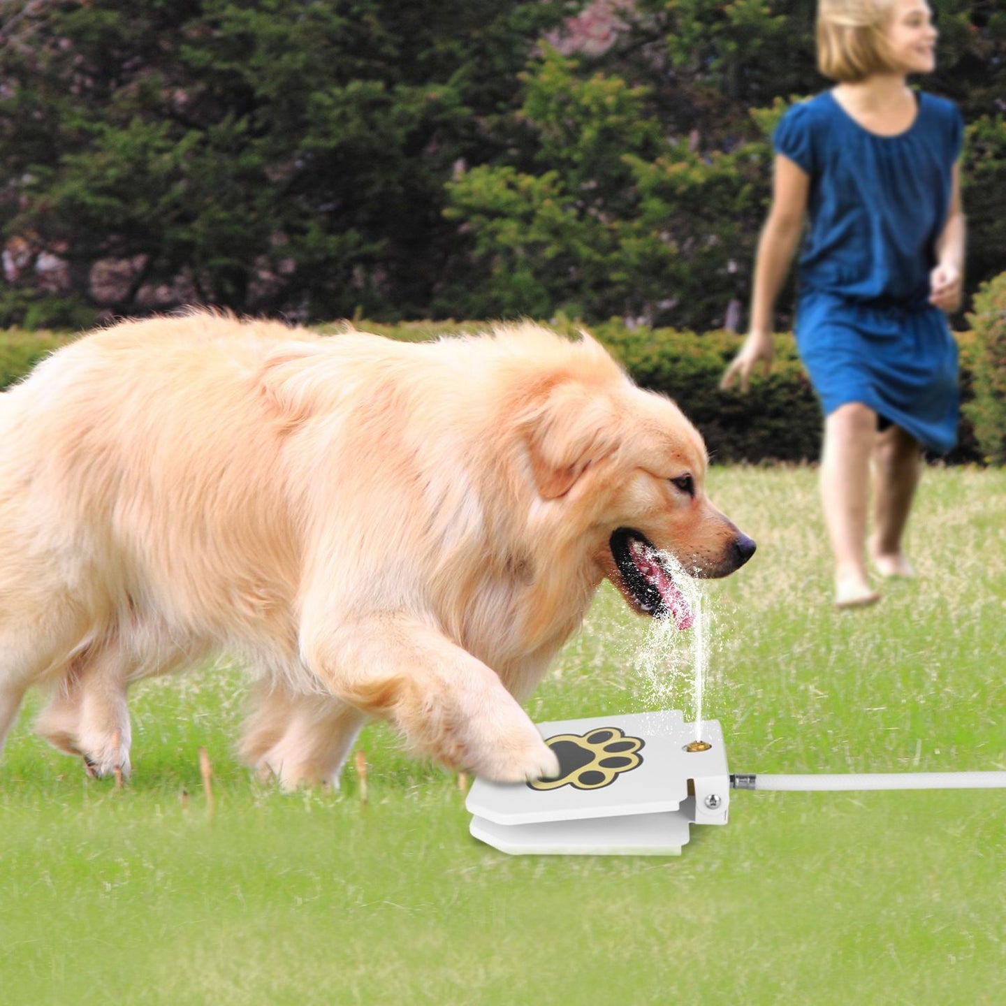 Step-On Outdoor Dog Water Fountain & Interactive Sprinkler