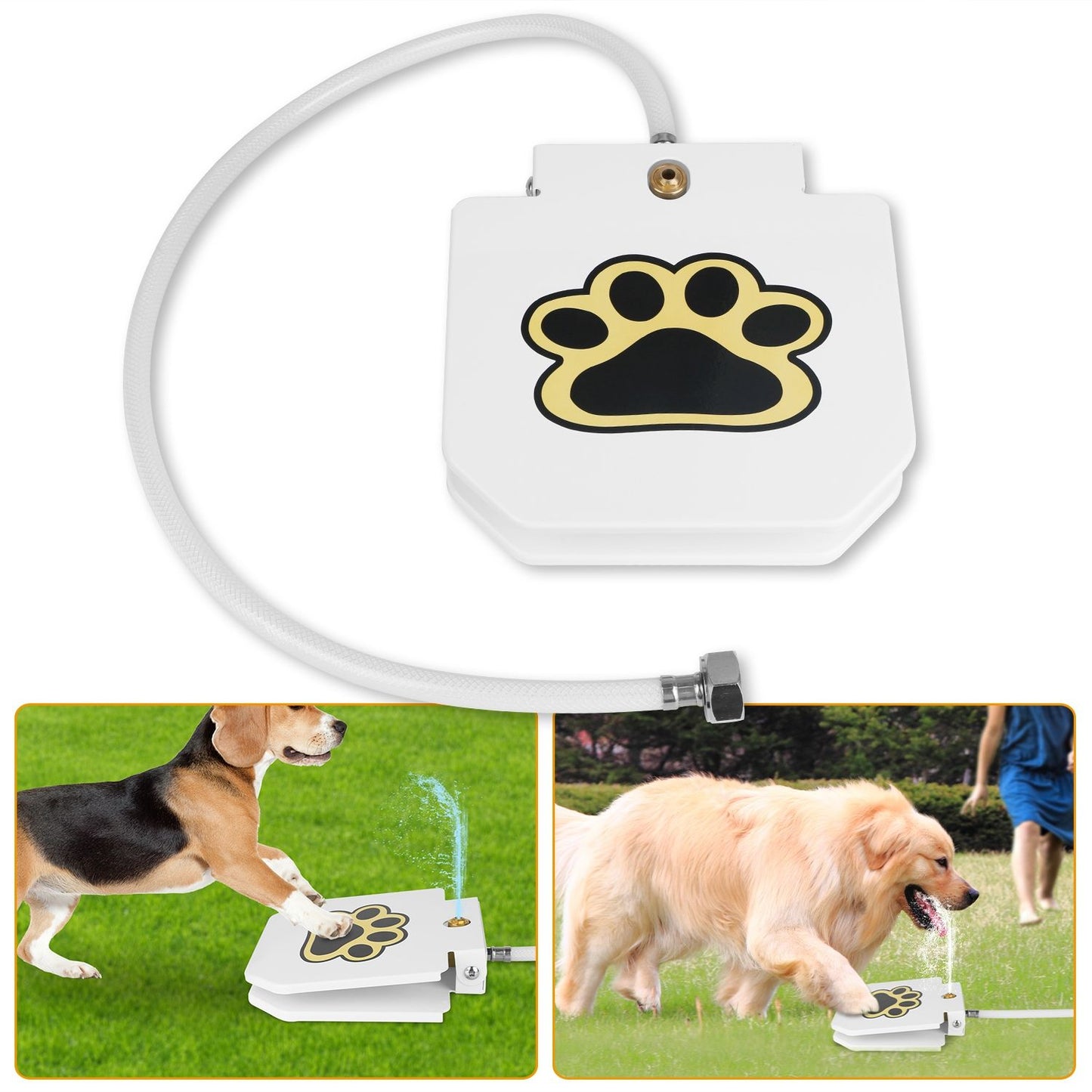 Step-On Outdoor Dog Water Fountain & Interactive Sprinkler
