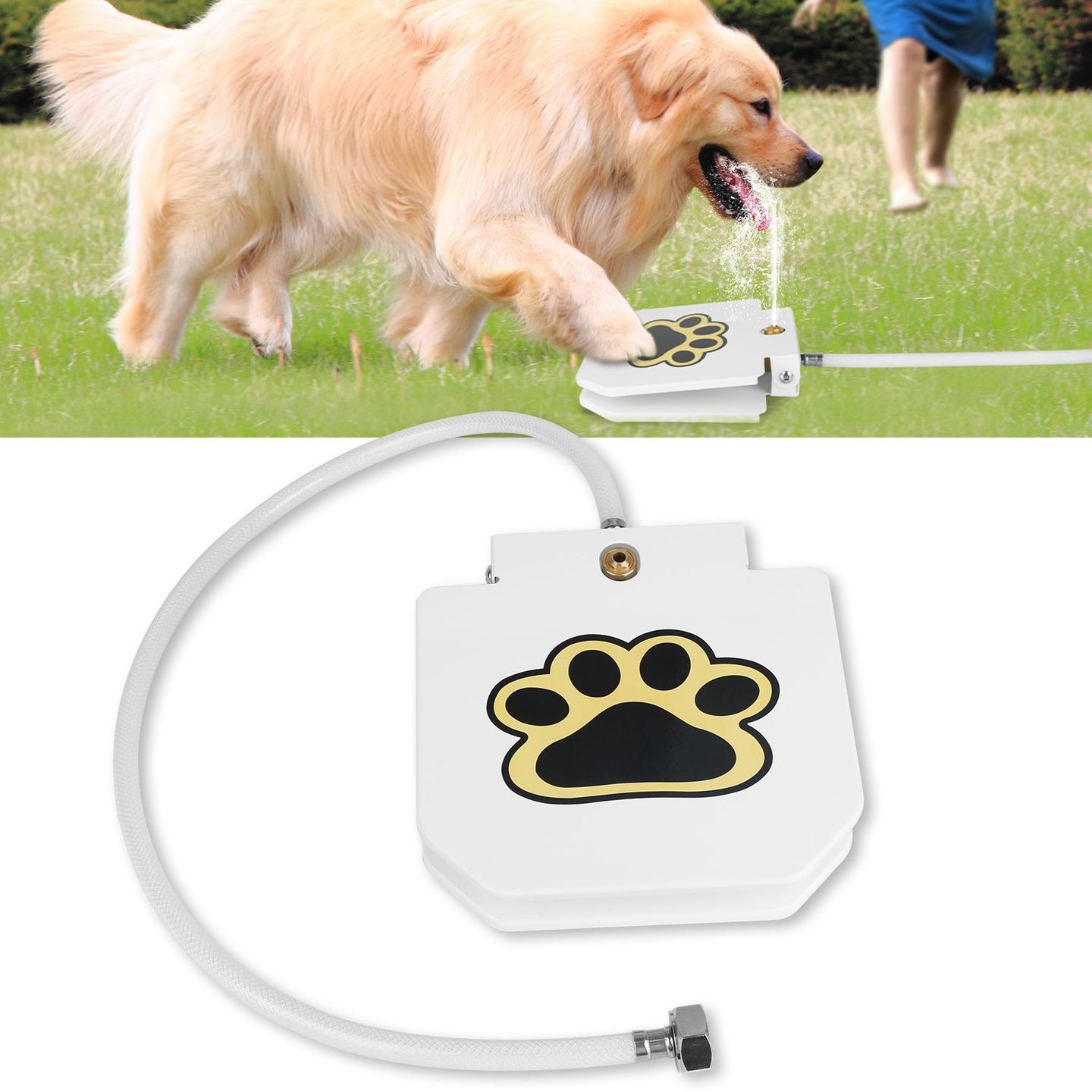 Step-On Outdoor Dog Water Fountain & Interactive Sprinkler