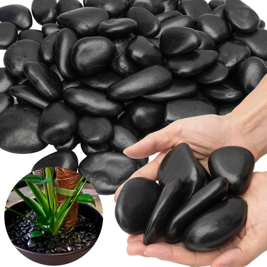 38lbs Black River Rocks, 2-3 inch Polished Pebbles. Ideal for plant decoration, vase filling, aquarium landscaping, and various indoor/outdoor decorative applications.