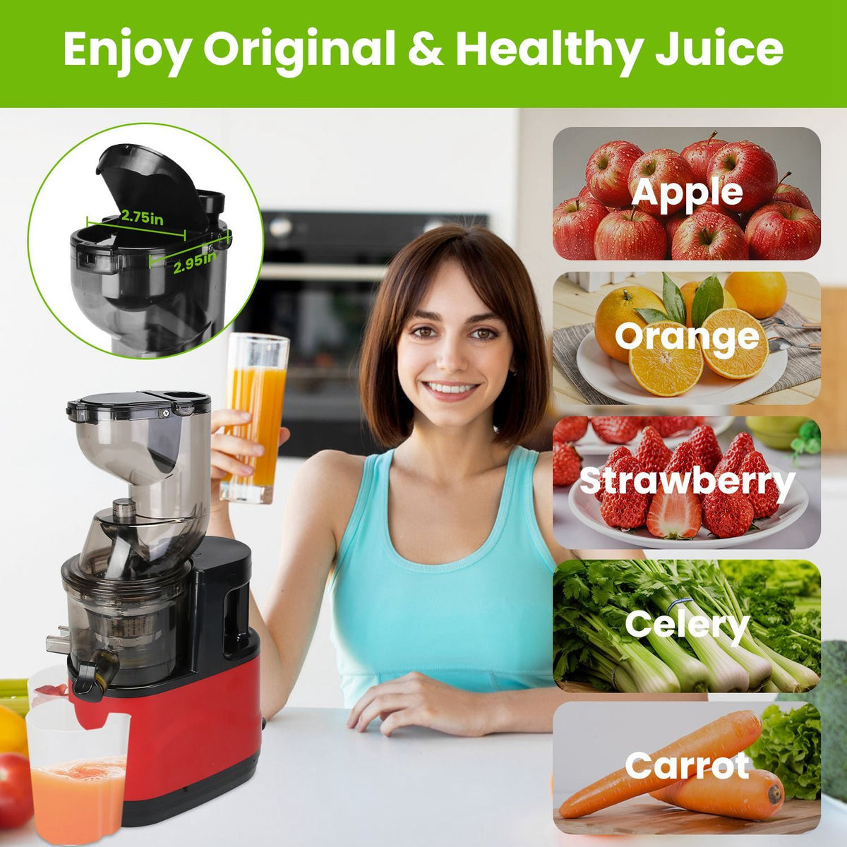 Cold Press Juicer Machine 300W Electric Slow Masticating Juicer for Whole Vegetable and Fruit with Reverse Function 2 Containers Cleaning Brush Clear Marks Easy Cleaning