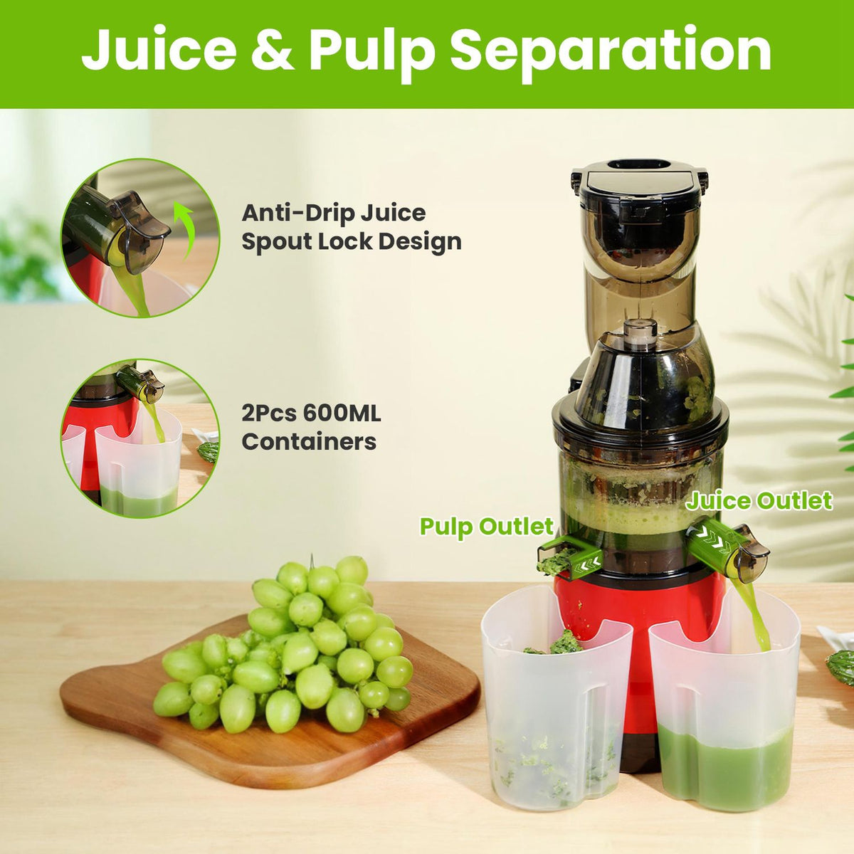 Cold Press Juicer Machine 300W Electric Slow Masticating Juicer for Whole Vegetable and Fruit with Reverse Function 2 Containers Cleaning Brush Clear Marks Easy Cleaning