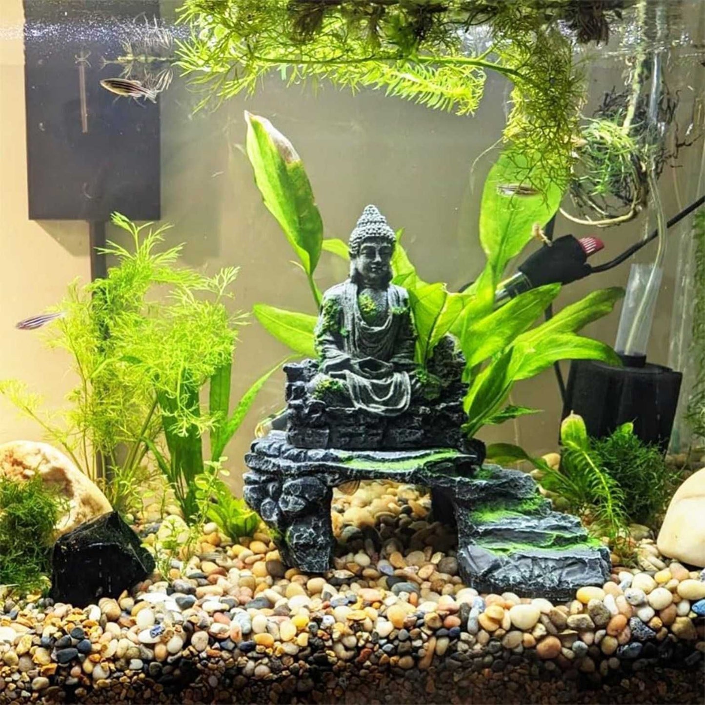 38lbs Mixed Color Pebbles for Plants, 2-3 Inch High Polished Natural Large River Rocks for Landscaping, Decorative Stones Vase Filler Fish Tank Aquariums Garden Outdoor and Indoor DIY