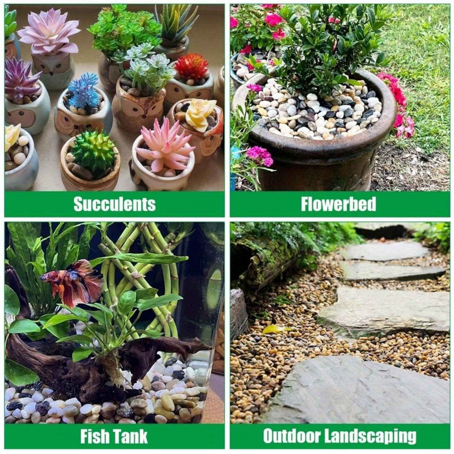 38lbs Mixed Color Pebbles for Plants, 2-3 Inch High Polished Natural Large River Rocks for Landscaping, Decorative Stones Vase Filler Fish Tank Aquariums Garden Outdoor and Indoor DIY